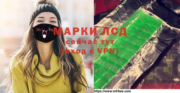 хмурый Каменка