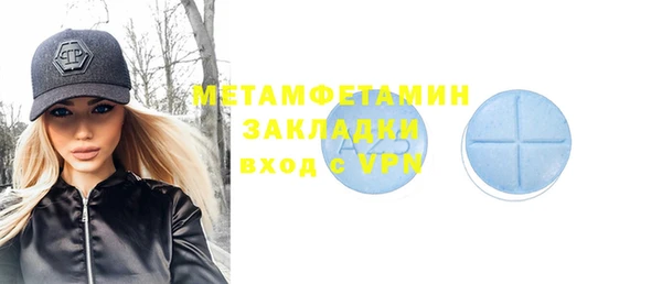 индика Туринск