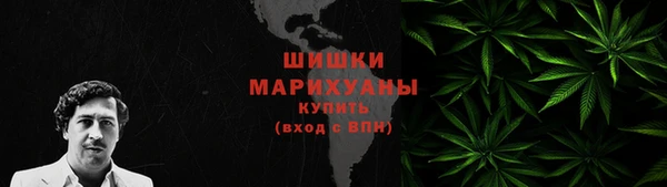 СК Каменногорск