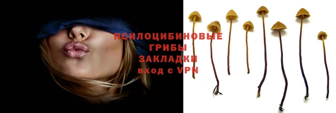 гашиш Каменск-Шахтинский