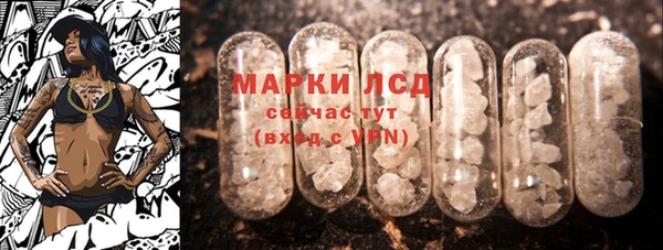 хмурый Каменка