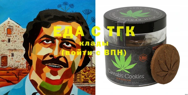 хмурый Каменка