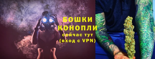хмурый Каменка