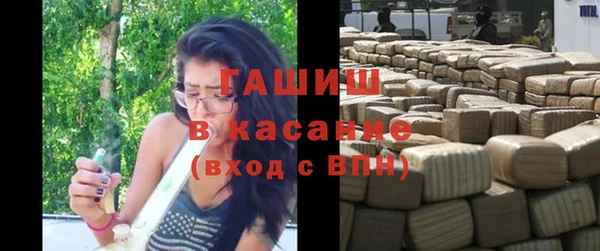хмурый Каменка