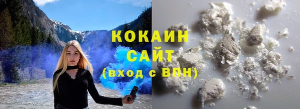 СК Каменногорск