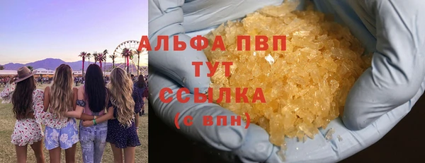 СК Каменногорск
