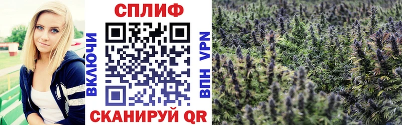 МАРИХУАНА SATIVA & INDICA  где найти наркотики  MEGA вход  Нижневартовск 